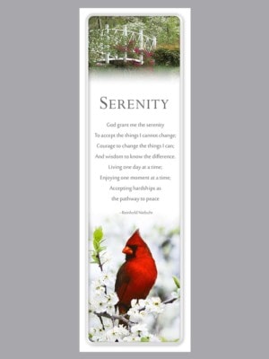 bright red cardinal in white flowers bookmark