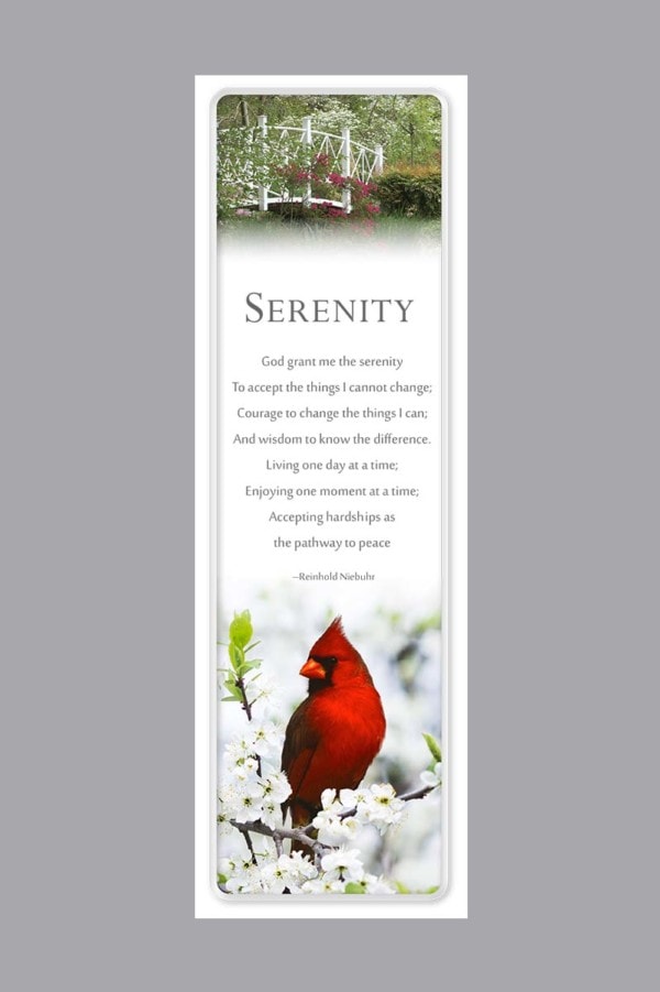 bright red cardinal in white flowers bookmark