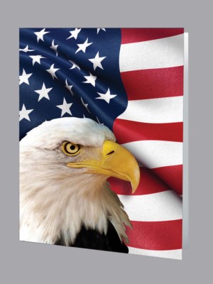 bald eagle in front of American flag service record