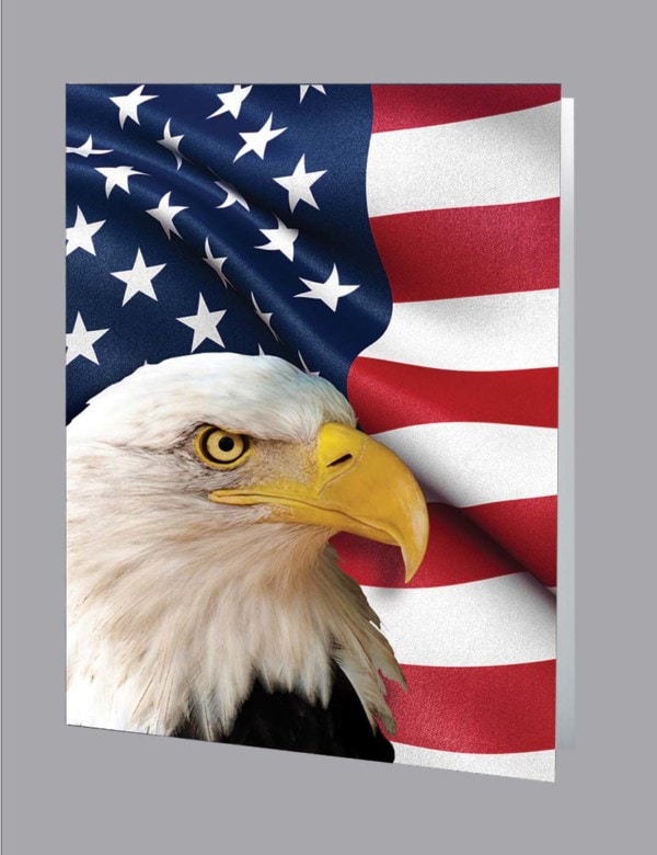 bald eagle in front of American flag service record