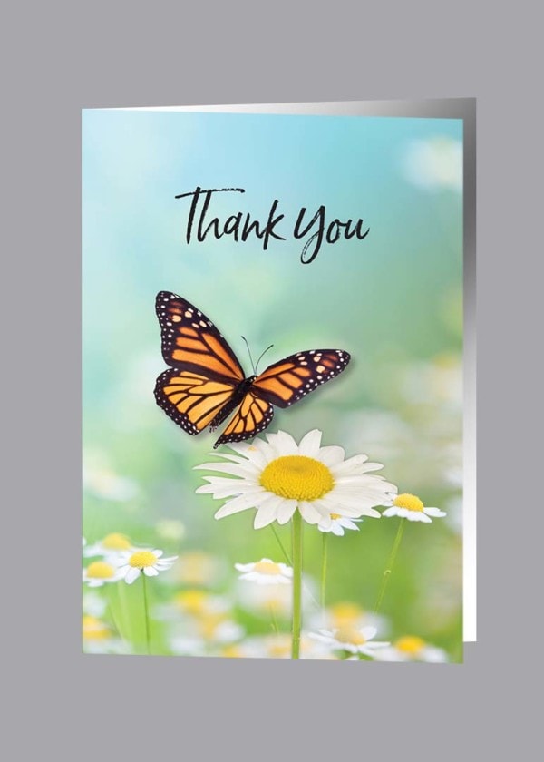 Flying monarch butterfly with thank you text thank you card