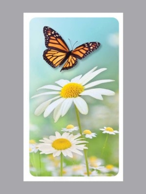 flying monarch butterfly prayer card