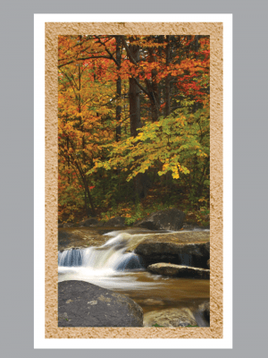 Wooded autumn scene with stream Prayer Card