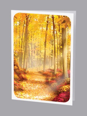 Golden light along autumn forest path Thank you card