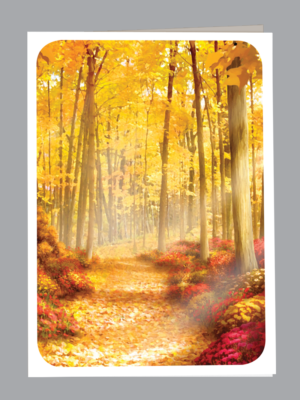 Golden light along autumn forest path Thank you card