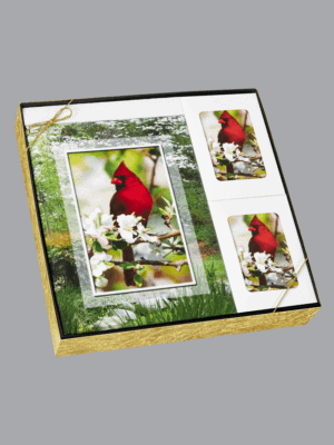 Cardinal gift box set 8542 bxs