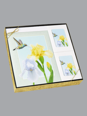 Hummingbird and flowers garden nectar gift box set