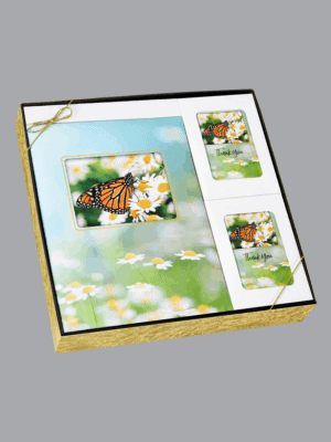 Seasons of Life gift box set 8551 bxs