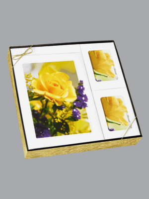 Yellow Rose with purple flowers box set 8550 bxs