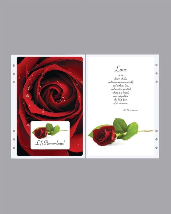 red regal rose and love is the flower of life divider page