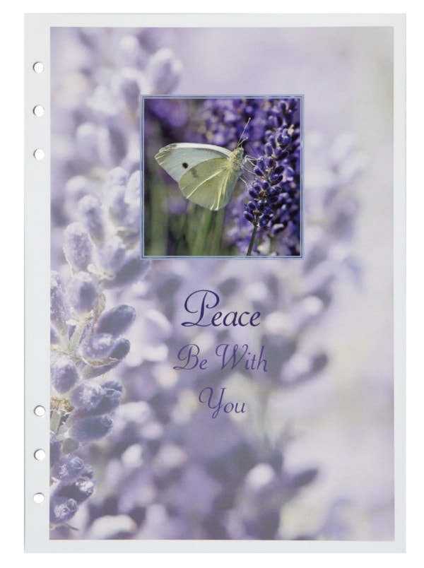 white butterfly on purple flowers divider page