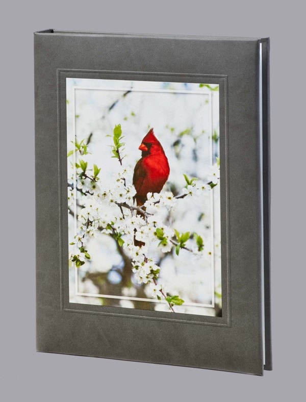 bright red cardinal on grey funeral guest book