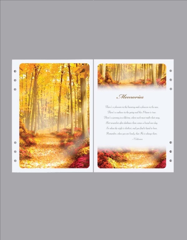 golden forest path and memories divider path