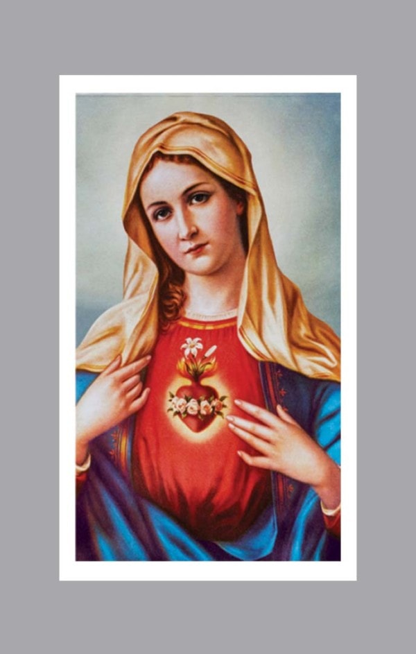 Sacred Heart of Mary Prayer Card