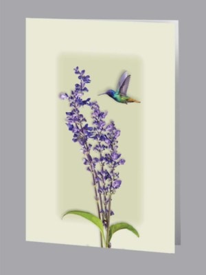 hummingbird with purple lilac funeral thank you card
