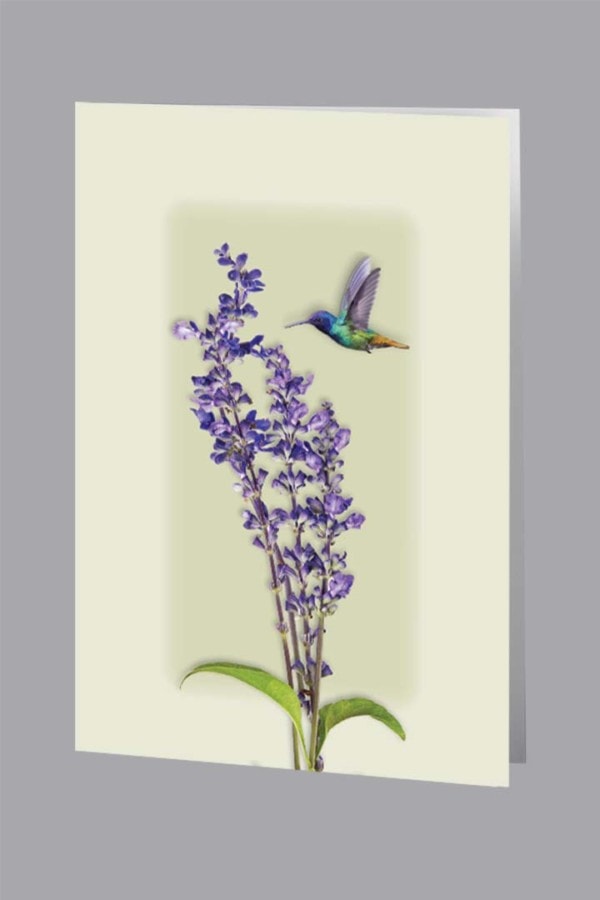 hummingbird with purple lilac funeral thank you card