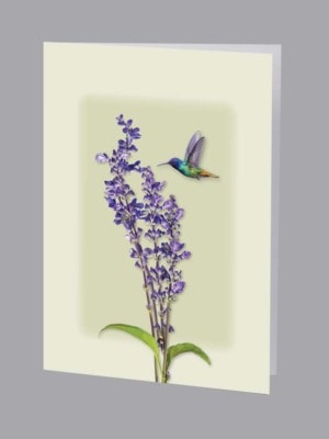 single hummingbird with lilac service record