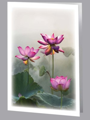 3 pink lotus flowers in mist thank you card