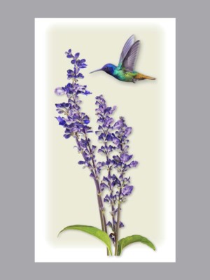 Hummingbird with lilac prayer card