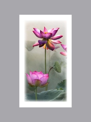 Pink Lotus flowers white prayer card