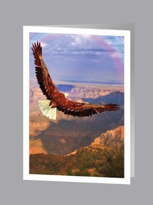 Flying bald eagle over canyon thank you card