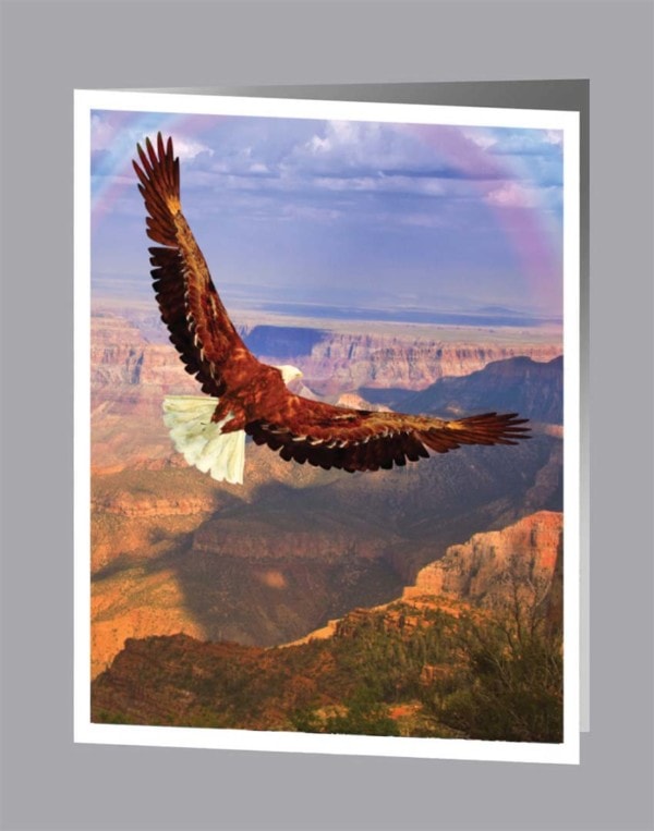 Eagle flying over canyon with rainbow service record