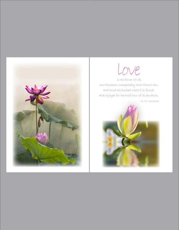 Lotus flower color divider page