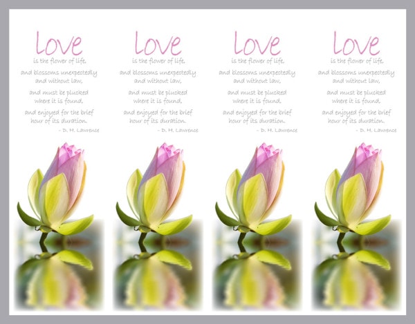 4 Bookmarks with lily flower