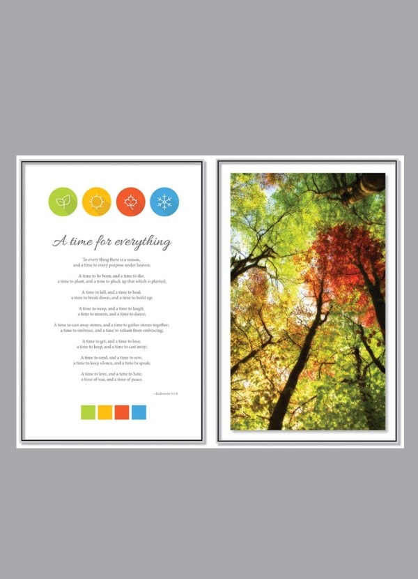 colorful trees full color divider pages