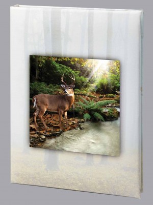 Forest Retreat Funeral Guest Book