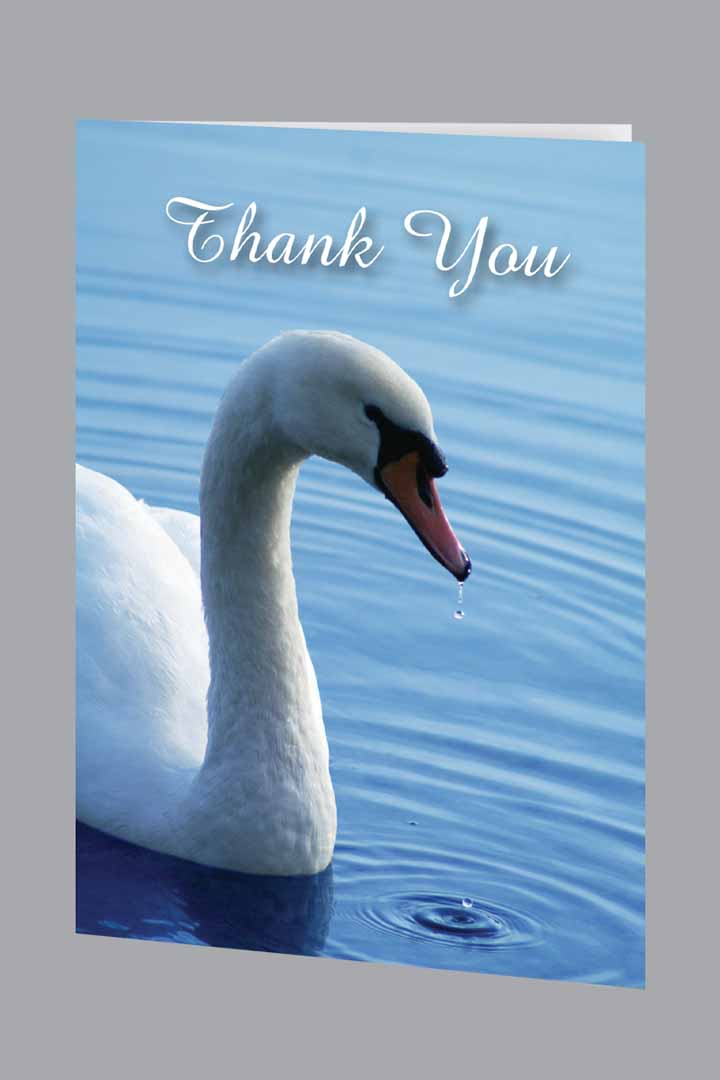 Swan's Song Acknowledgment
