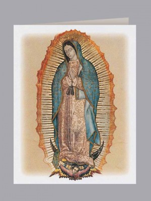 Lady of Guadalupe Acknowledgment - Spanish