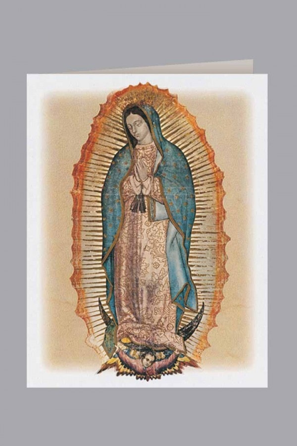Lady of Guadalupe Acknowledgment - Spanish