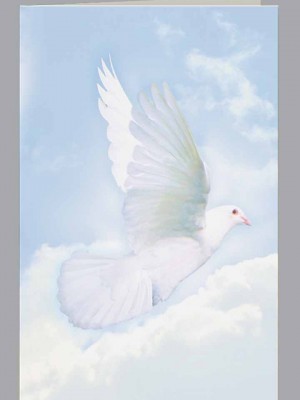 Wings of Hope Church Bulletin
