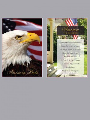American Pride - Themed Divider Pages