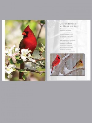 Cardinal - Themed Divider Pages