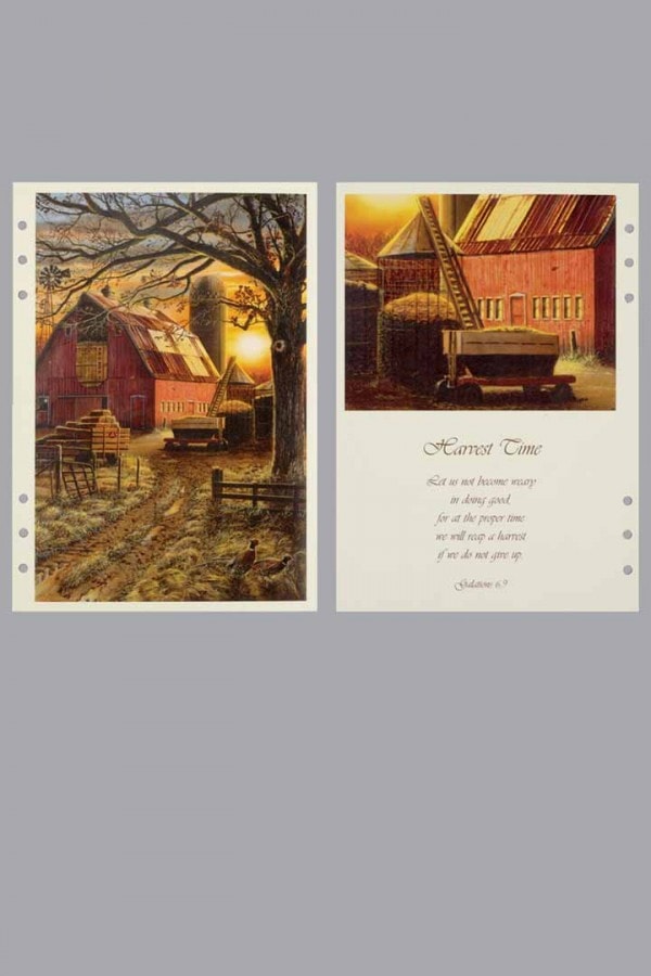 Farm Harvest - Themed Divider Pages