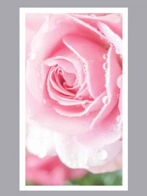 Cherished Rose Prayer Card