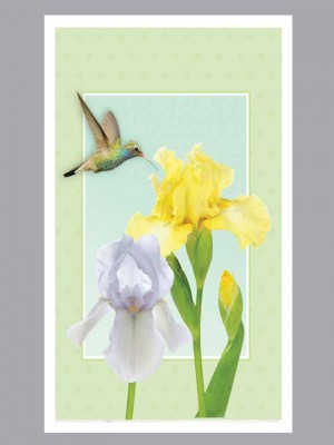 Hummingbird with yellow and white iris flowers Prayer Card