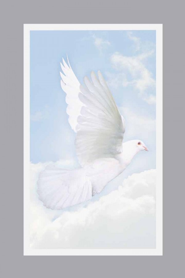 Wings of Hope Prayer Card