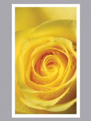 Yellow Rose Prayer Card