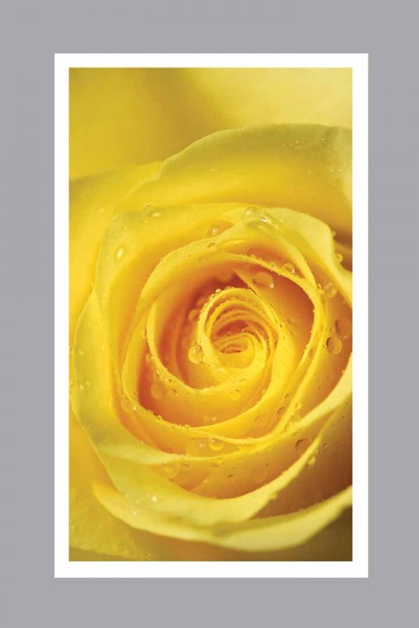 Yellow Rose Prayer Card