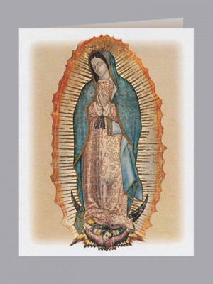 Lady of Guadalupe Service Record - English