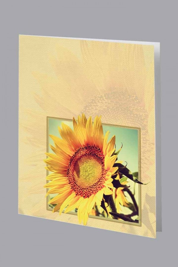 Sunflower Service Record